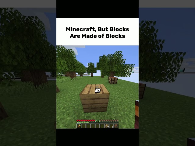 Minecraft, But Blocks Are Made of Blocks