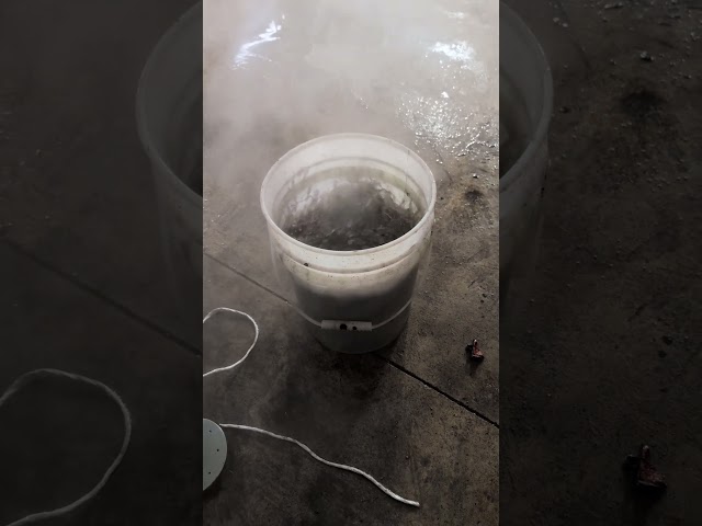 Forbidden Tea?   What's happening here?  wrong answers only.