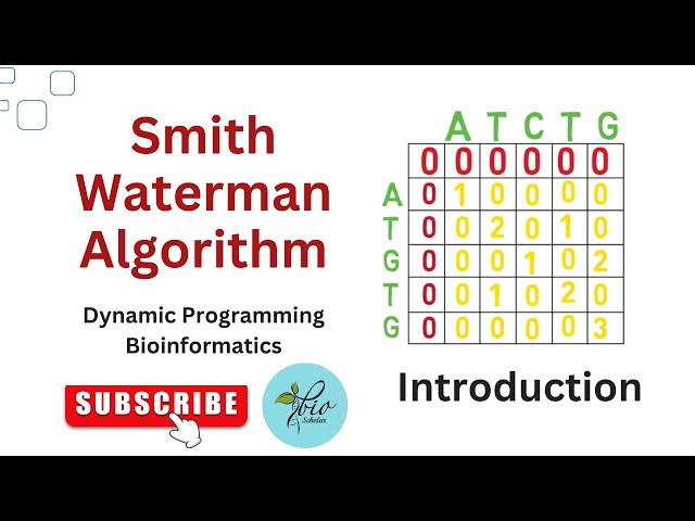 Smith Waterman Algorithm For local Alignment || Dynamic programming || Bioinformatics