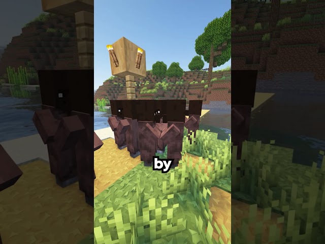What Can Minecraft Zombies Teach Us? #minecraft #minecrafttutorial #minecraftinspiration