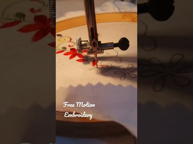 using normal sewing machine #freemotionembroidery #threadpainting #maldives