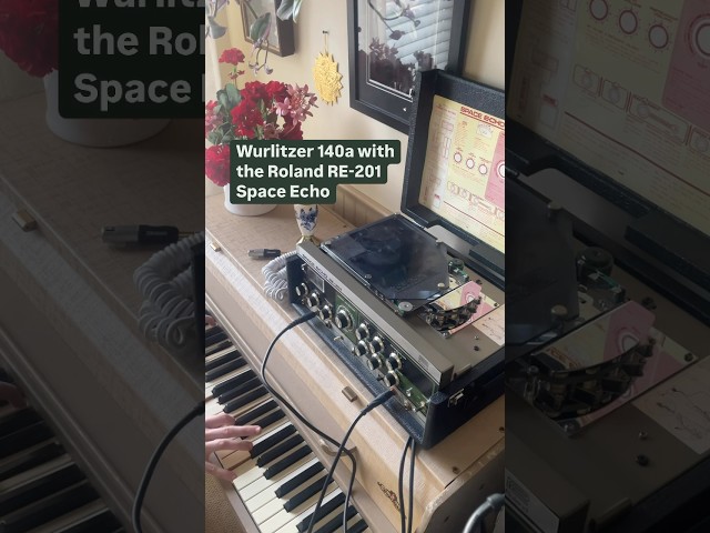 Wurlitzer 140 with the Roland RE-201 Space Echo #electricpiano #roland #shorts