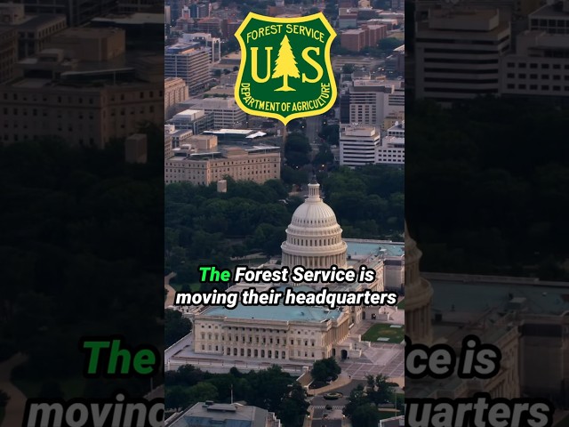 The PROBLEM with the Forest Service #forestservice #politics #economics