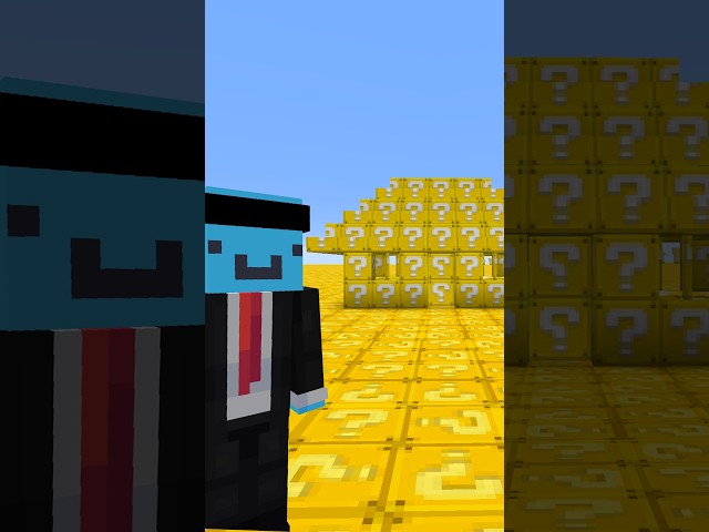 RANDOMIZED Minecraft House...