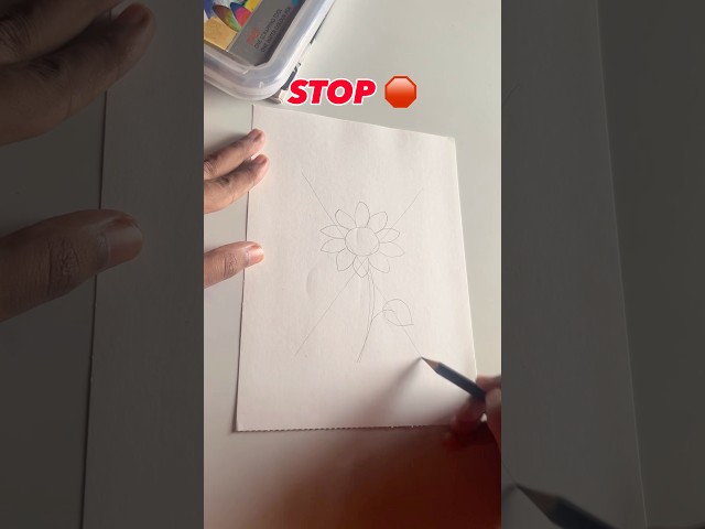 Let’s draw sunflower 🌻 in a easy way #art #drawing #tutorial #shorts #reels