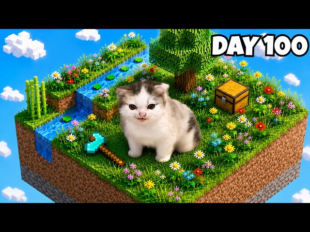 CAT SURVIVED 100 DAYS IN ONE BLOCK FULL EPISODE