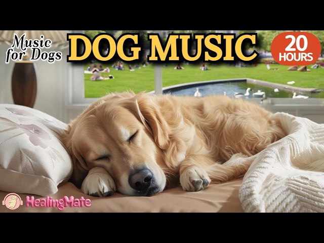 20 HOURS of Dog Calming Music🐶🎵Dog Stress and Separation Anxiety Music🐶💖Deep Sleep Music for Dogs