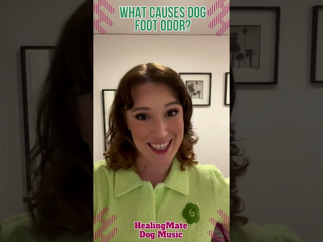 🐶💖What Causes Dog Foot Odor?💖🐶