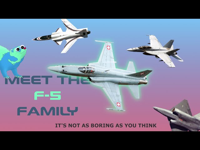 The F 5: The ‘Boring’ Jet That Can Never Die | Distilled Dangerzone - S01 E03