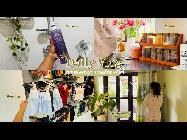 Daily Vlog 🎀🪴 | අලුත් Indoor plants ගත්තා 🥹  | Cooking | Shopping #aesthetic  #vlog #srilanka 