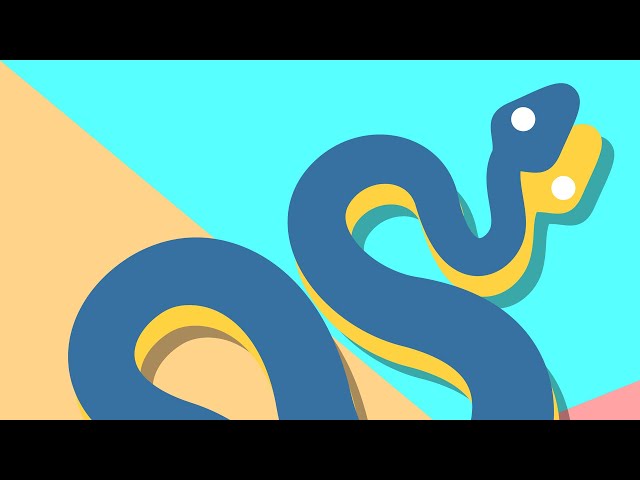 Curso  Python desde Cero a Experto en 1 Video: Curso Completo 2024