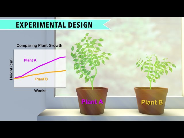 Biology: Controlled Experiments