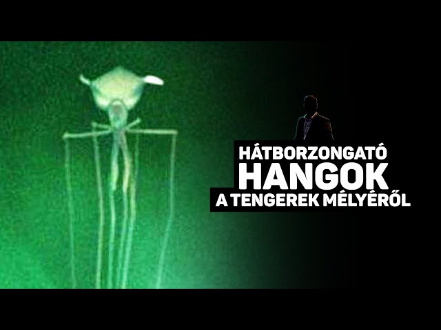 Hátborzongató hangok a tengerek mélyéről