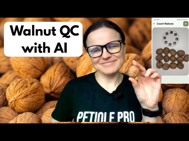 Walnut QC with AI