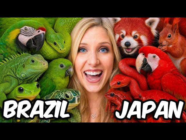 I Adopted Animals From Around the World!