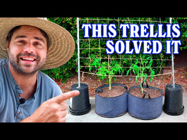 The Best ALL Purpose Trellis | Cheap, Freestanding, & Storable