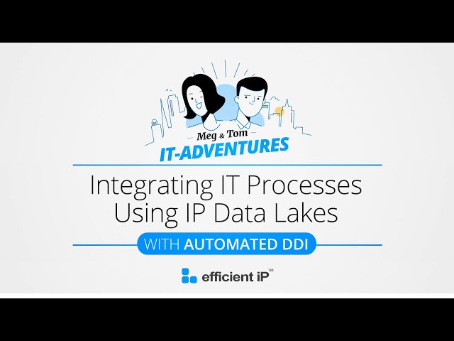 Integrating IT Processes Using IP Data Lakes