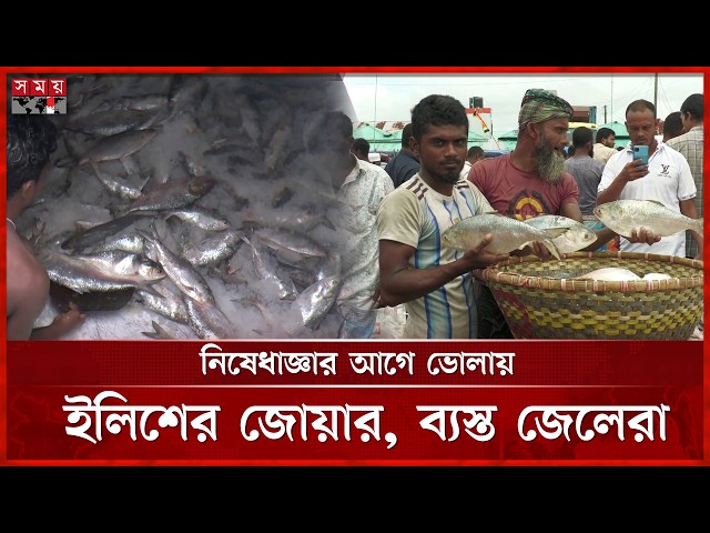 ভোলার নদীতে ইলিশের দেখা মিললেও স্বস্তি নেই জেলেদের  | Bhola News | Fisherman | Somoy TV