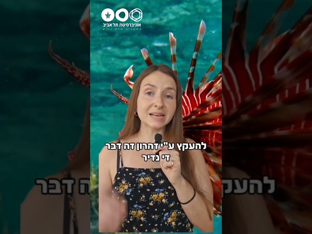 מי אתה דג הזהרון?
