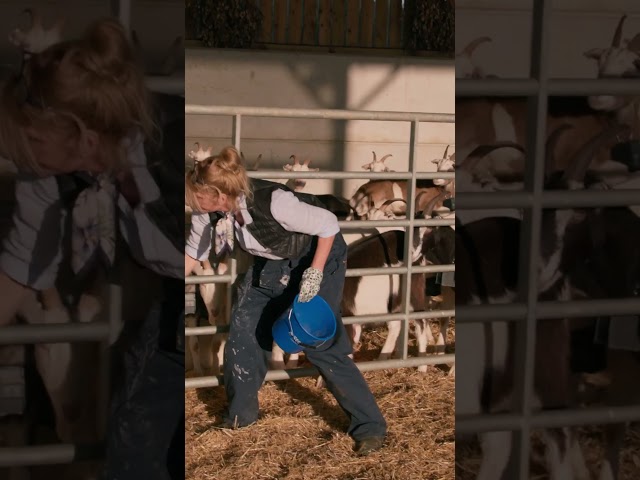 They herd the plan, they just didn't agree 🐐 #ClarksonsFarm
