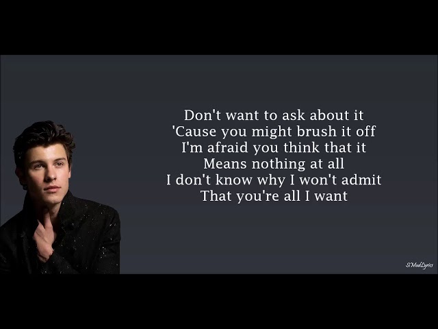 Shawn Mendes - Why (Lyrics)