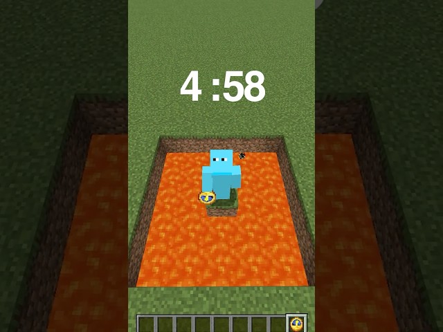 FIND THE MINECRAFT ITEM!