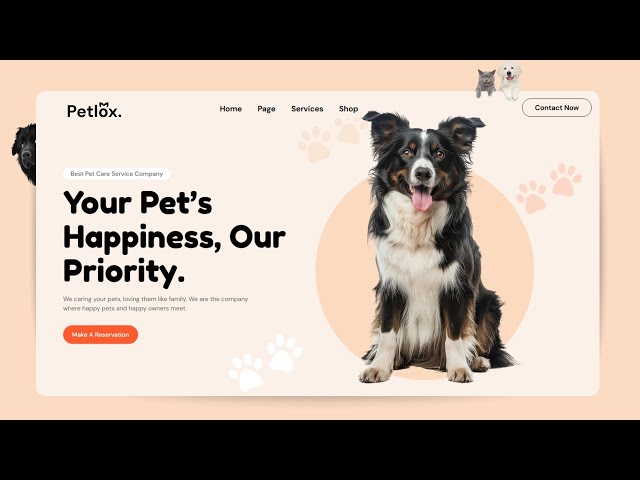 Make A Responsive Pet Shop Website Using HTML & CSS Only