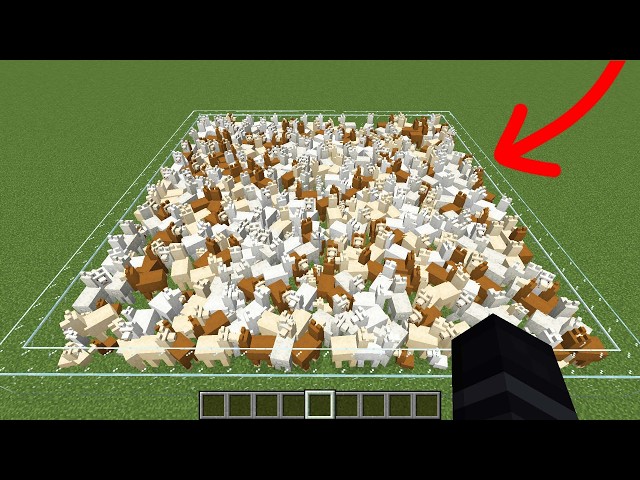 what if i hit one of llamas?