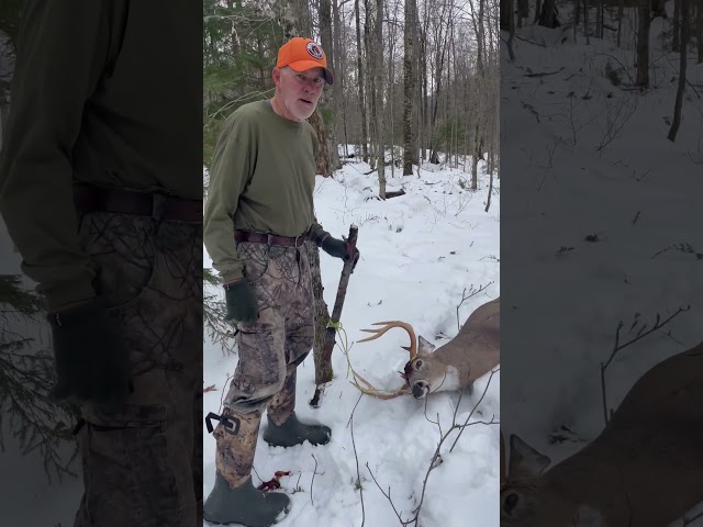 Dragging a buck out with your dad  never gets old!  #shorts #buck #hunting