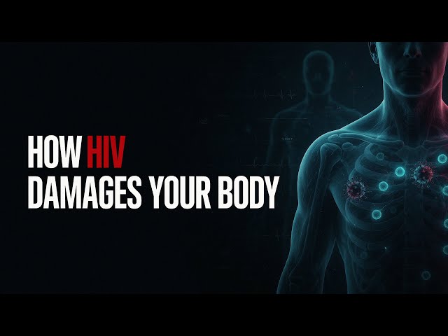 FROM HIV TO AIDS : How HIV Slowly Damages Your Body Without You Knowing