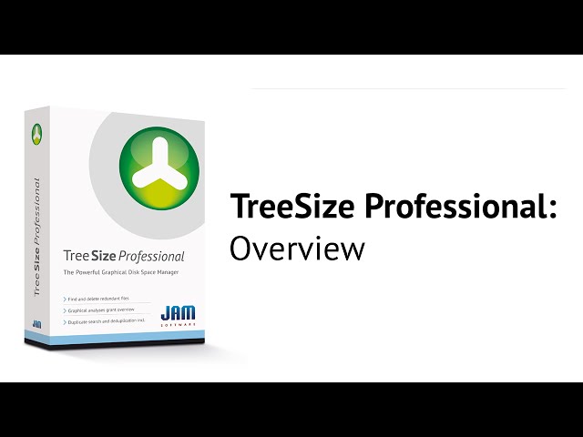 TreeSize Professional - Overview
