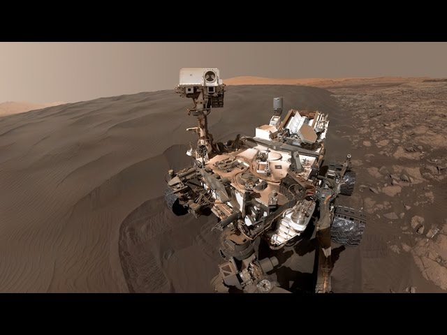 Happy Lonely Birthday, Curiosity