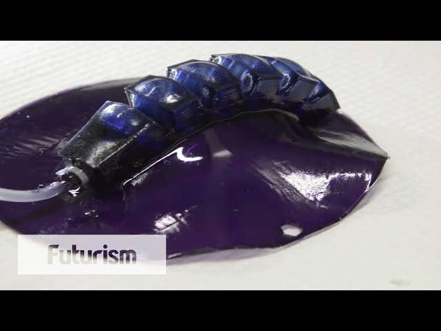 One Chef Creates High Tech Desserts