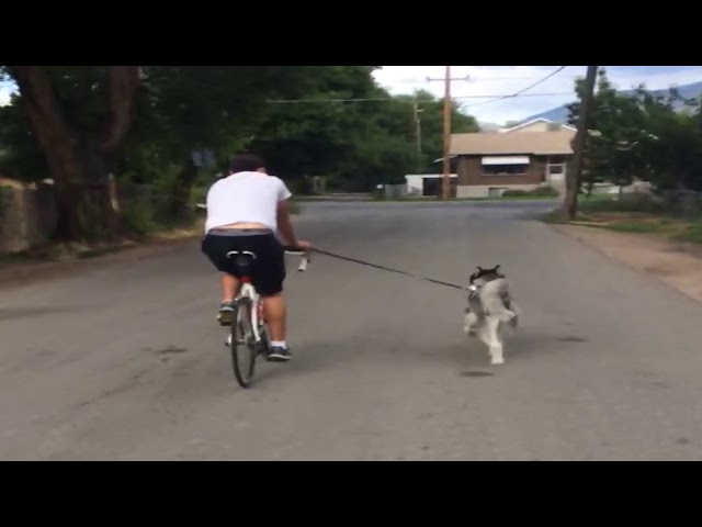 Riding With My Girl