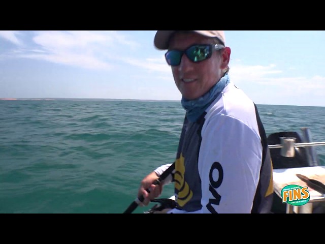Fins Force 5 - BCF