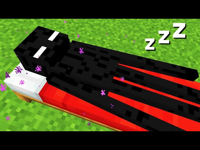 3 Hours of Minecraft Facts to fall asleep to