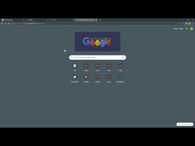 Palo Alto Rest API with Postman getting the api key