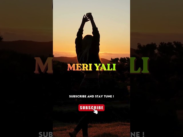 “Meri Yalu” snippet 🎶💔: #mandanimusic