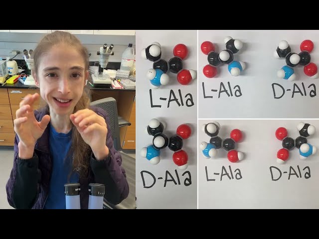 Chirality in biological molecules - Nobel prizes & enzymes