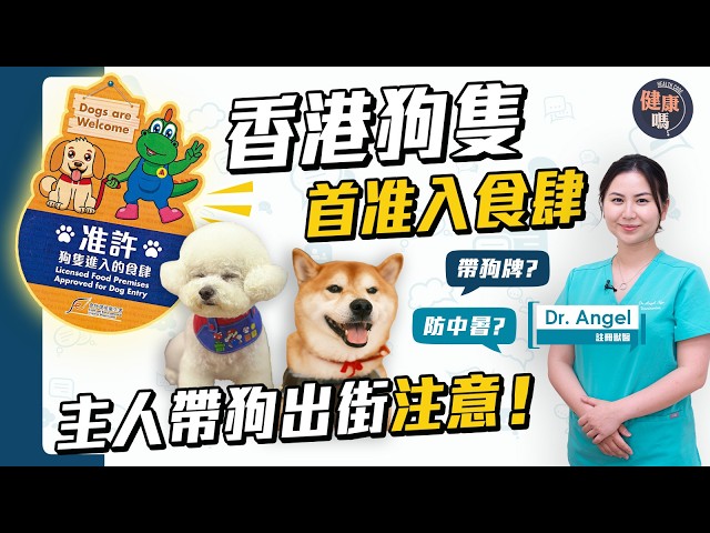 Dogs Finally Allowed in Hong Kong Restaurants! Vet's Tips for Taking Your Dog Out | Dog Licensing...