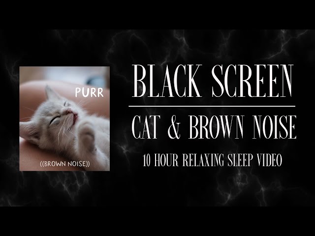 CAT PURRING & BROWN NOISE 💤  l  10 Hours of Pet Sounds for Sleep  l  Black Screen