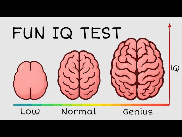 Only 9% Can Pass This IQ Test 🧠