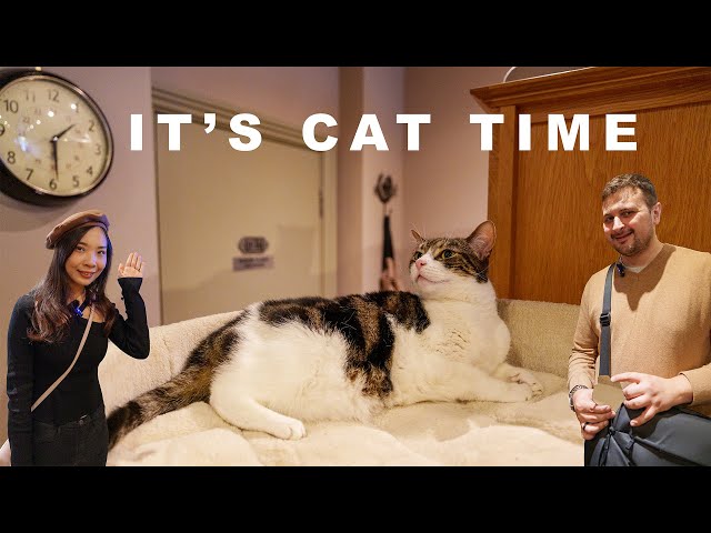 A London (倫敦) Cat Cafe | Whiskers & Cream
