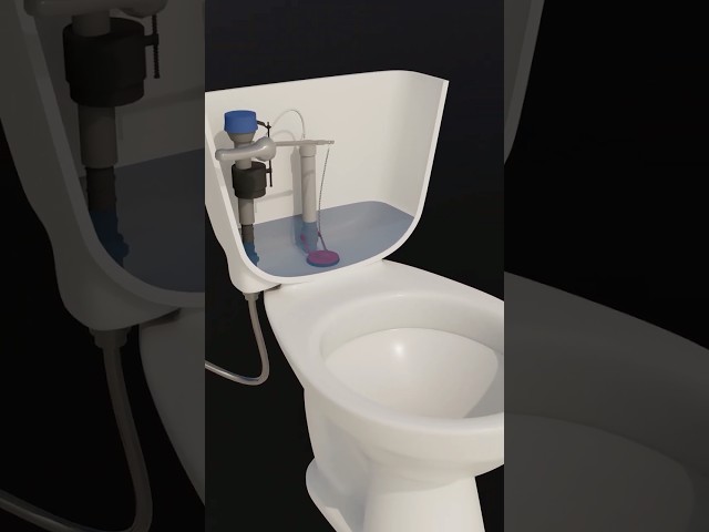 How Does a Toilet Work? #wastewater #toilet