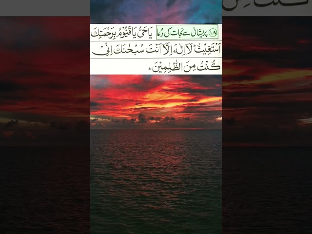 2025,🤲🧕islamicquotes #islam #reels#trend#trending #shorts#yout