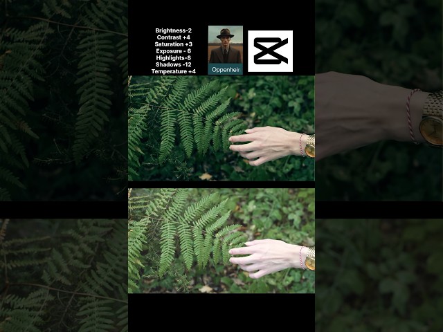 Capcut cinematic color grading tutorial| how to edit nature video in cinematic tone #youtubeshorts