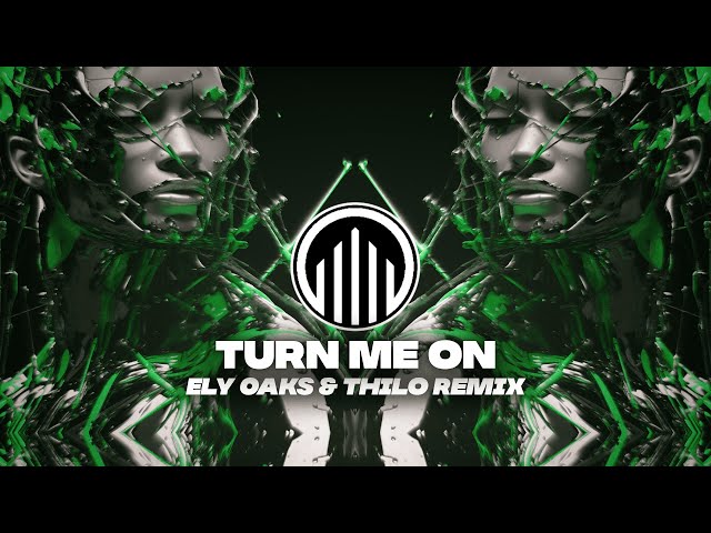 Ely Oaks & Thilo - Turn Me On (Techno Remix)