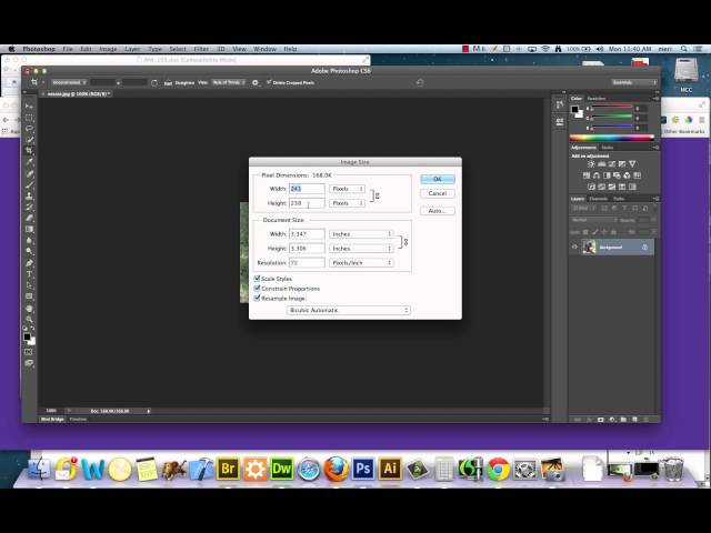 Photoshop: Cropping and saving images for the web