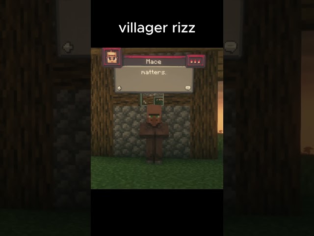 Do I Have Villager Rizz?