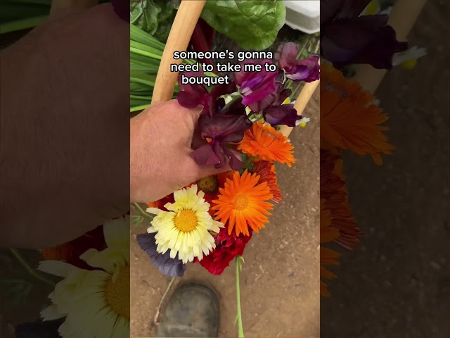 Harvesting a Birthday Basket From The Garden!